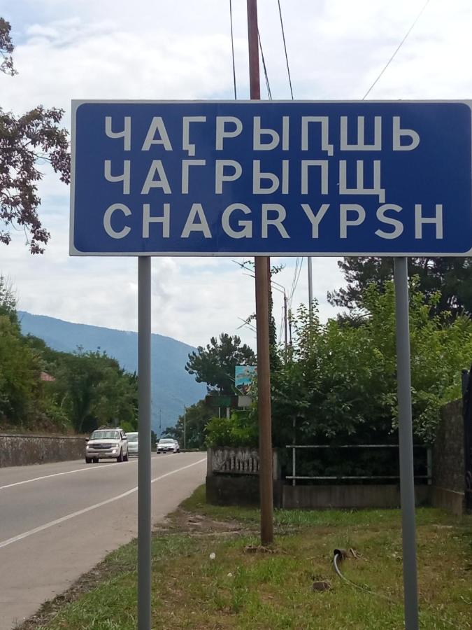 Гостевой Дом Мимоза Гагра Екстериор снимка